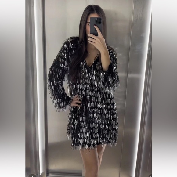 ZARA Black Silver Fringed Sequin Mini Shift Dress Festive Days Size Large NWT - Picture 1 of 9